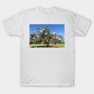 Goats in trees T-Shirt